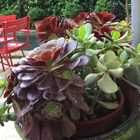 Les Templiers Ξενοδοχείο 3*