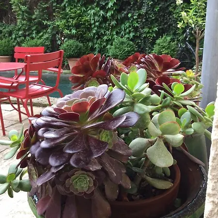 Les Templiers 3* Aigues-Mortes