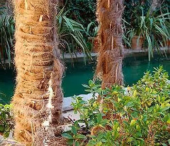 Les Templiers 3*